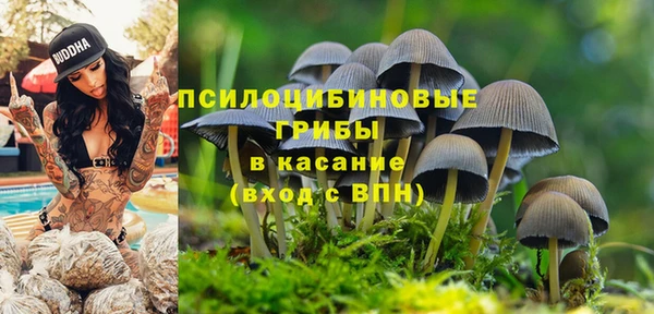 дурь Алзамай