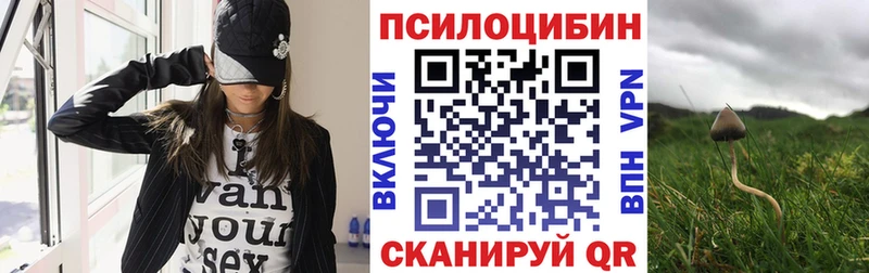 Псилоцибиновые грибы Psilocybine cubensis  купить закладку  Краснообск 