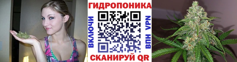 МАРИХУАНА ГИДРОПОН  Краснообск 